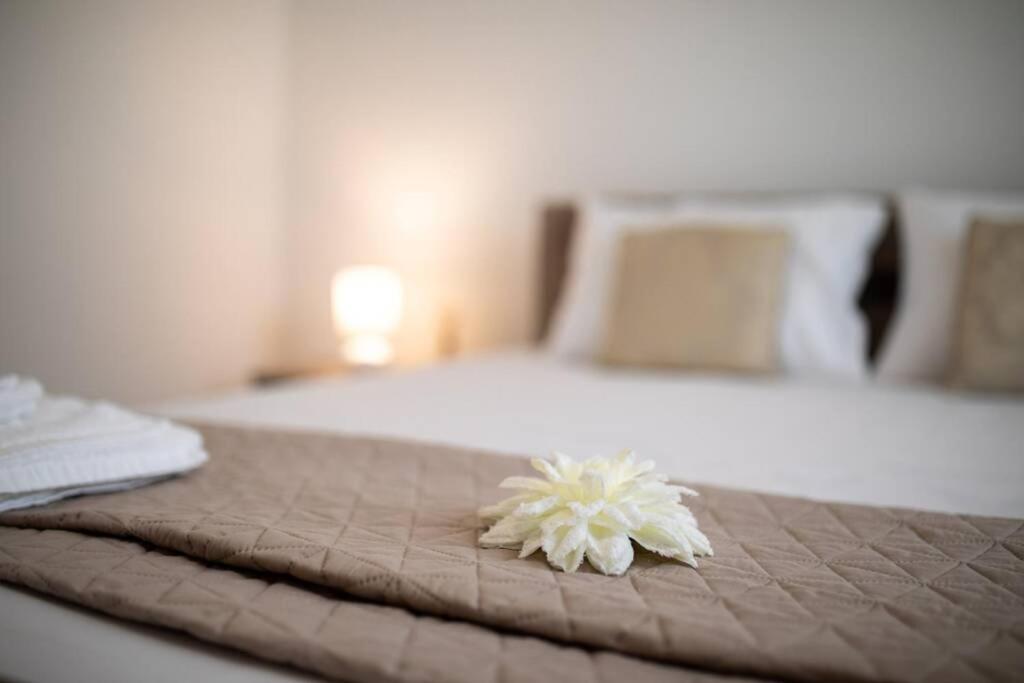 Apartment Natali Punat- Free Parking On Premises ภายนอก รูปภาพ